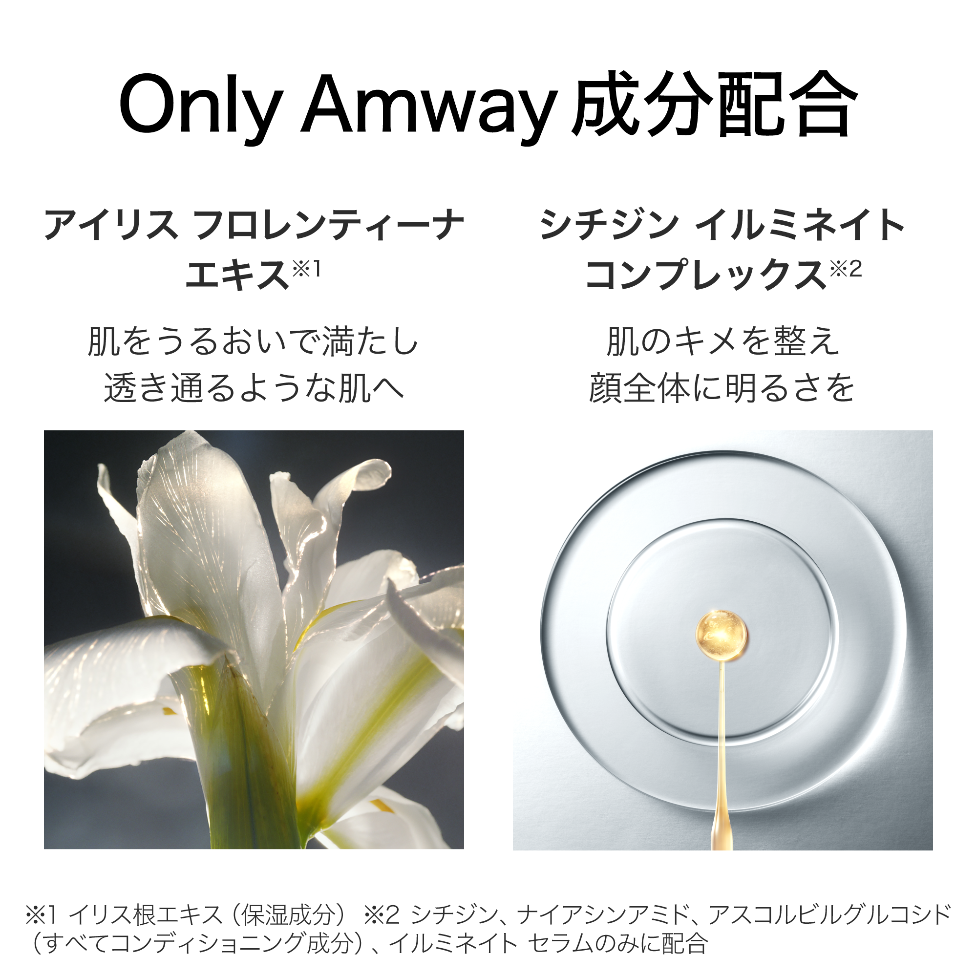イルミネイトシステム：Amway(アムウェイ)Shopping